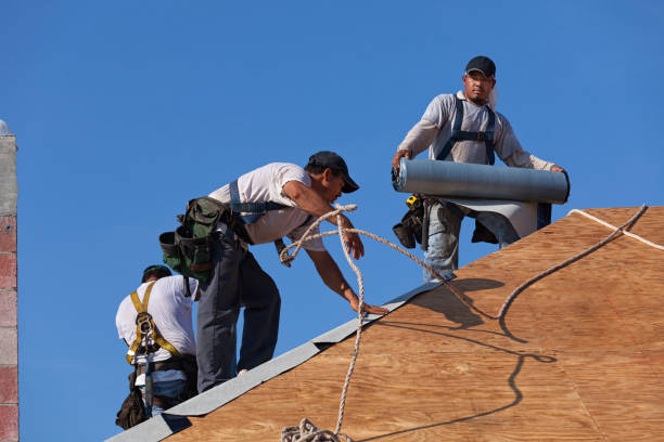 Best Roof Gutter Cleaning  in Palmyra, NJ