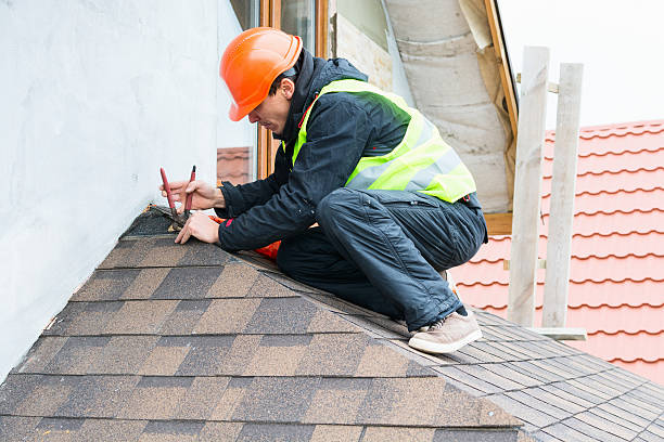 Best Storm Damage Roof Repair  in Palmyra, NJ