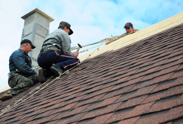Quick and Trustworthy Emergency Roof Repair Services in Palmyra, NJ